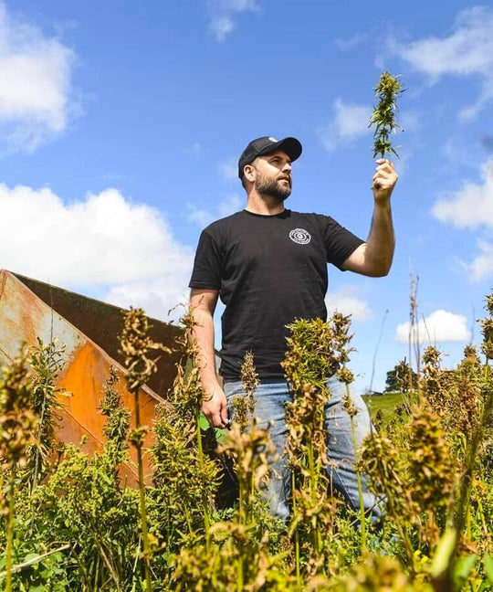 Hemp, Sustainability & Natural Distilling